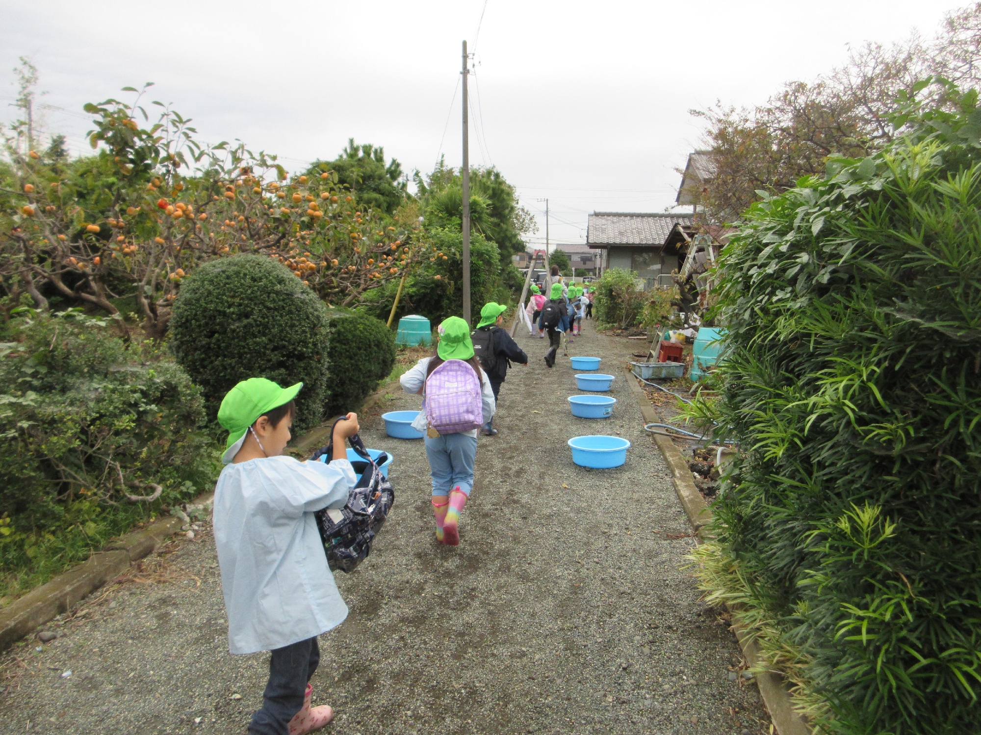 2025年度　さつまいも掘り